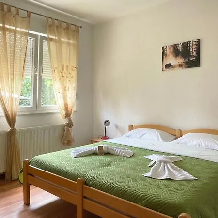 Πανσιόν Nikolic,banja Vrucica,teslic Teslić