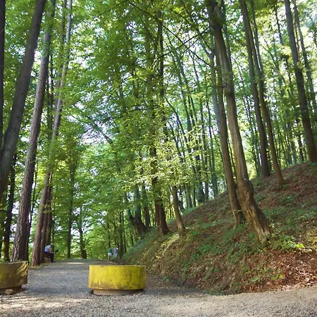 Nikolic,banja Vrucica,teslic Guest house Teslic