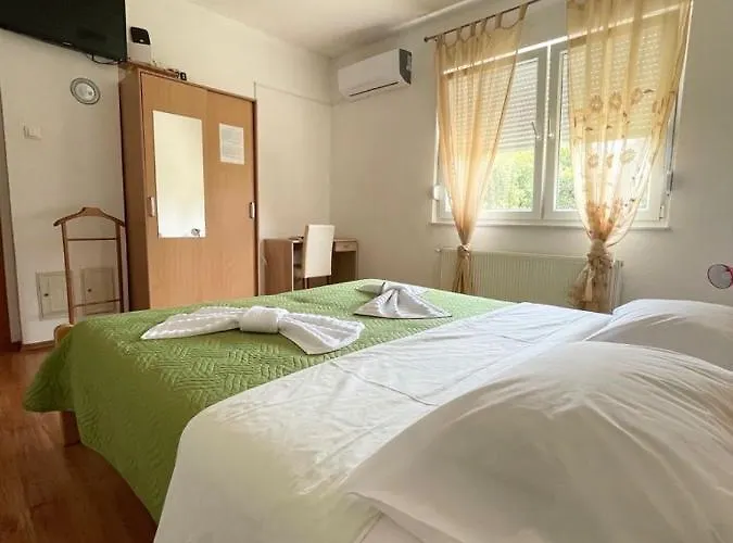 Pensjonat Nikolic,banja Vrucica,teslic