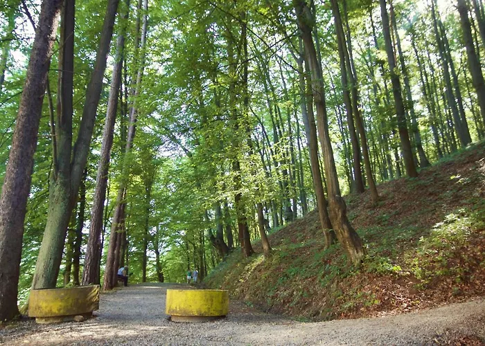 Nikolic,banja Vrucica,teslic Pensión Teslić